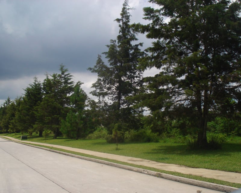 En venta Terreno plano en Casa   Campo