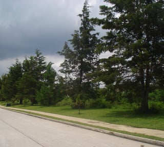 En venta Terreno plano en Casa   Campo