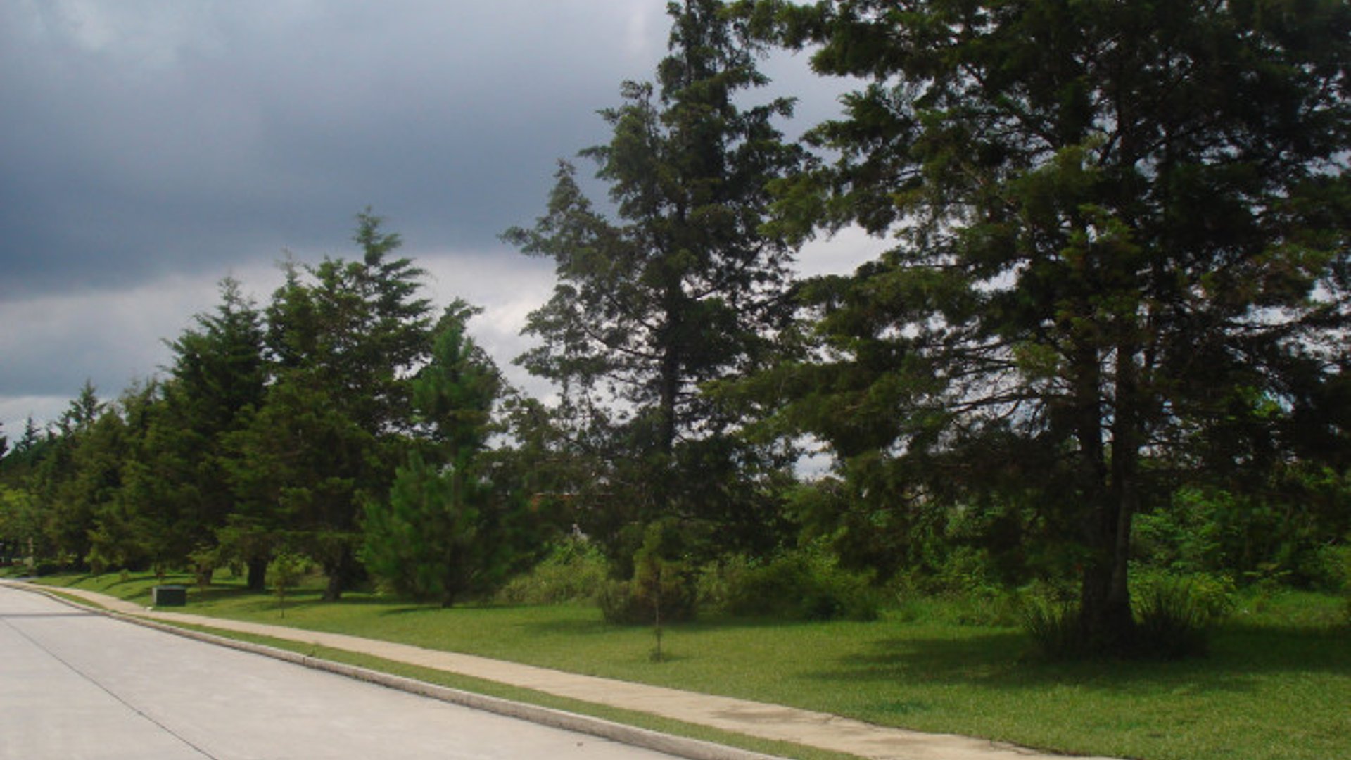 En venta Terreno plano en Casa   Campo