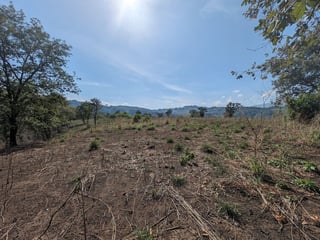 Km23 carretera Atlantico / Finca en venta - 2