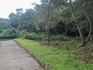 Venta terreno residencial Casa y Campo Carr. Salvador - Image 7