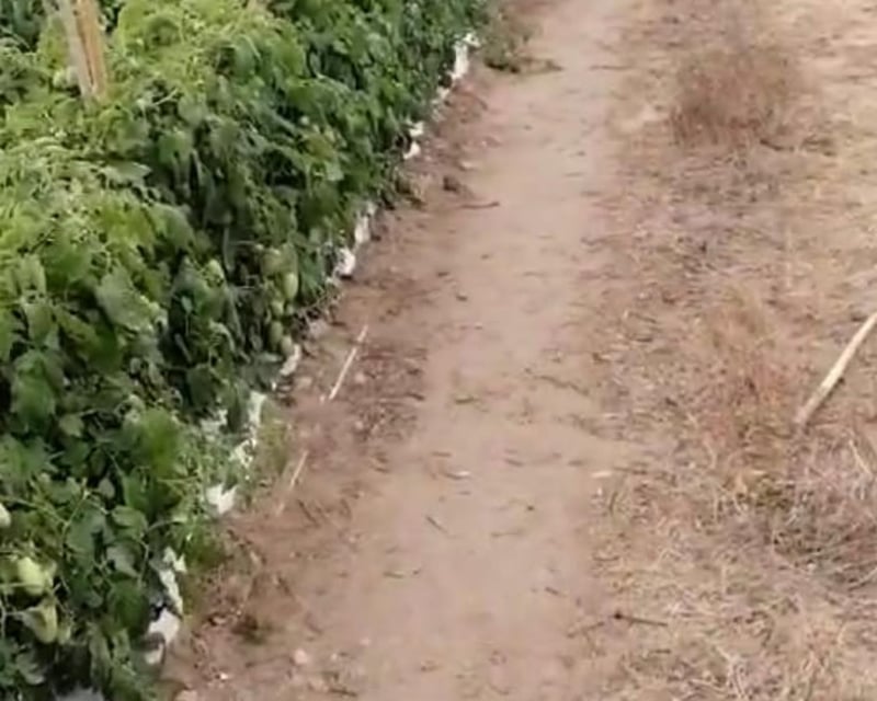 FINCA EN VENTA CON 293,500 Mts2 CON RÍO iNTERMEDIO