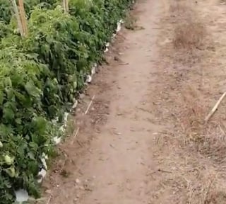 FINCA EN VENTA CON 293,500 Mts2 CON RÍO iNTERMEDIO