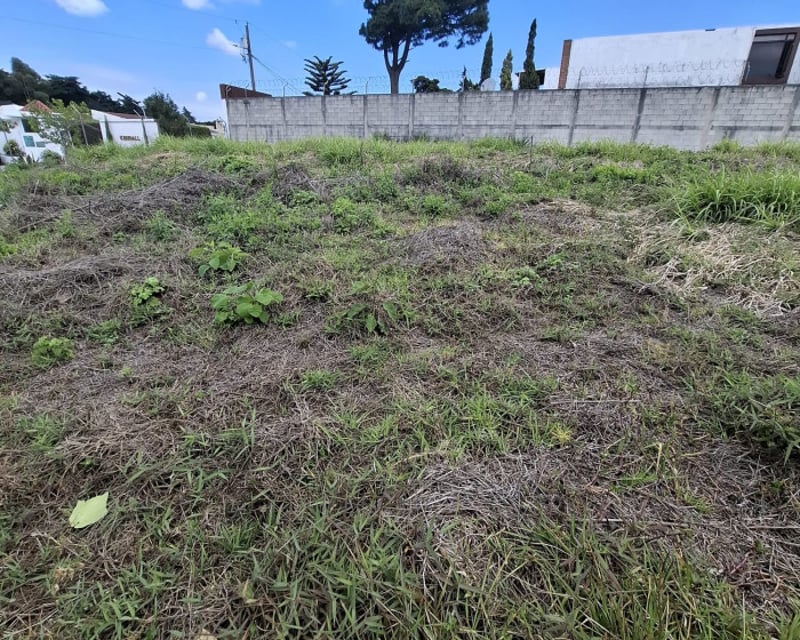 Renta Terreno Comercial Santa Catarina Pinula 18.5