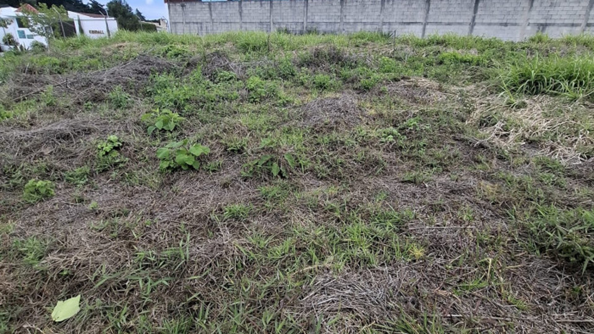 Renta Terreno Comercial Santa Catarina Pinula 18.5