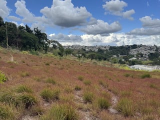 Terreno en Venta en Villa Nueva para Lotificación - 2
