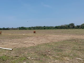 📍 FINCA EN VENTA – 95.11 MANZANAS | NUEVA CONCEPCIÓN | ESCUINTLA - 5