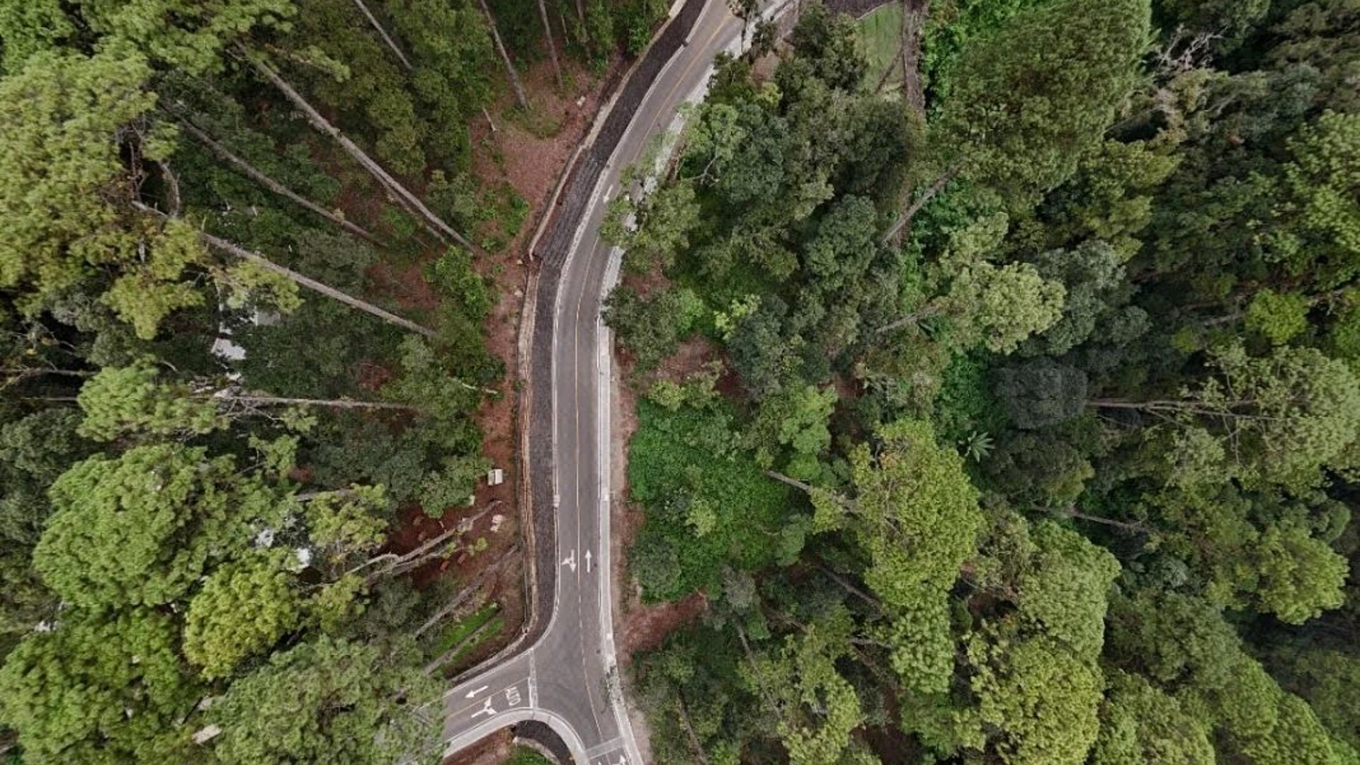 VENTA DE TERRENO PREMIUM LUCENTA DENTRO DE LEGADO DEL BOSQUE