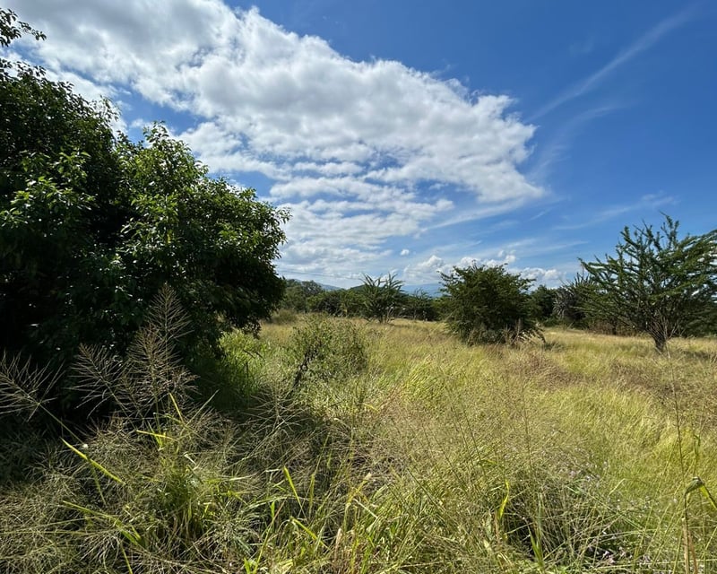 Terreno en Alquiler / Venta Ruta al Atlántico, Km. 116 