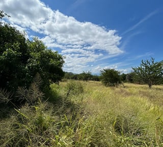 Terreno en Alquiler / Venta Ruta al Atlántico, Km. 116 