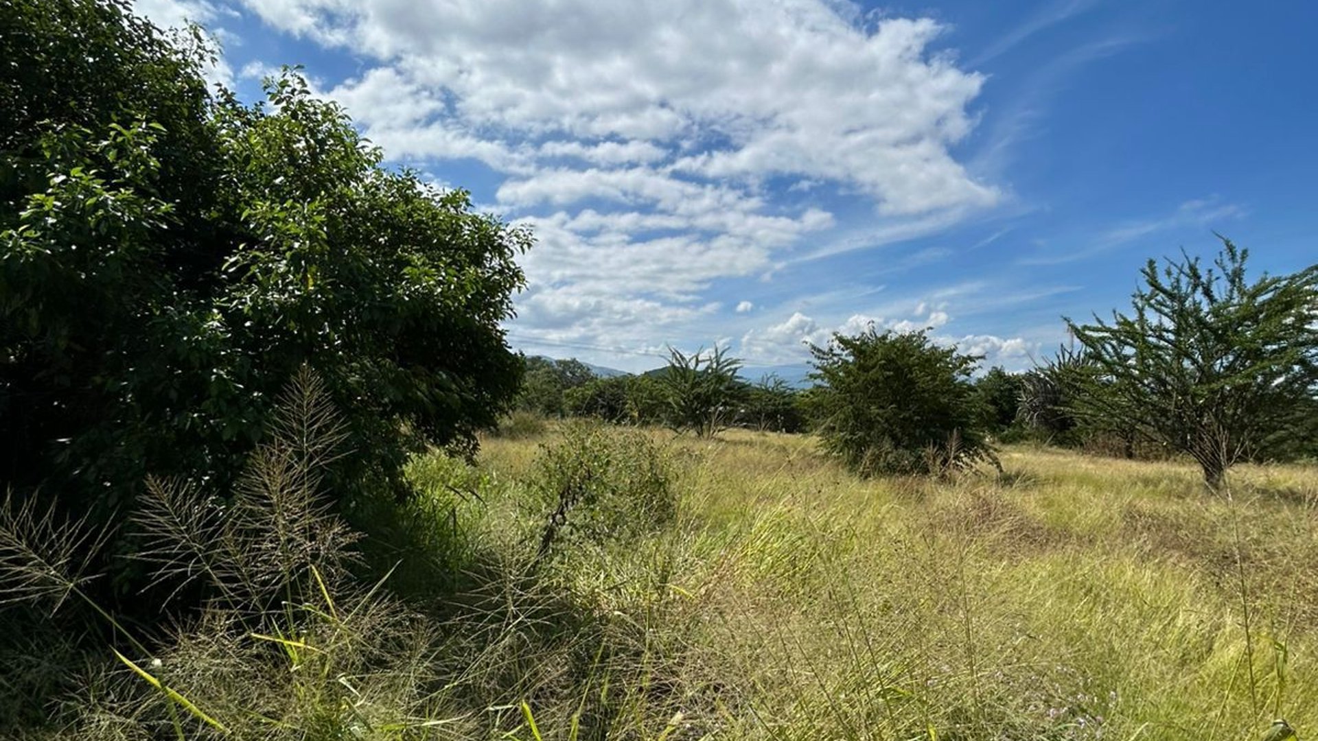 Terreno en Alquiler / Venta Ruta al Atlántico, Km. 116 