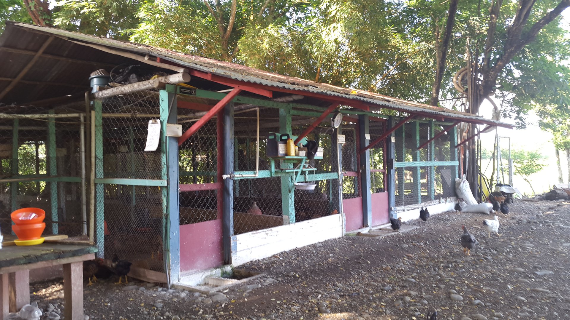 FINCA EN VENTA EN ALDEA EL SAUCE  - Miniatura 31