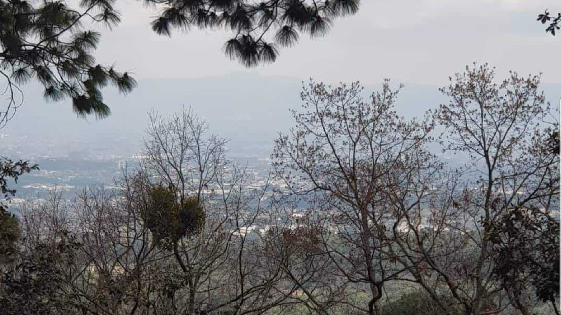 EL ENCINAL/ TERRENO EN VENTA - Miniatura 9