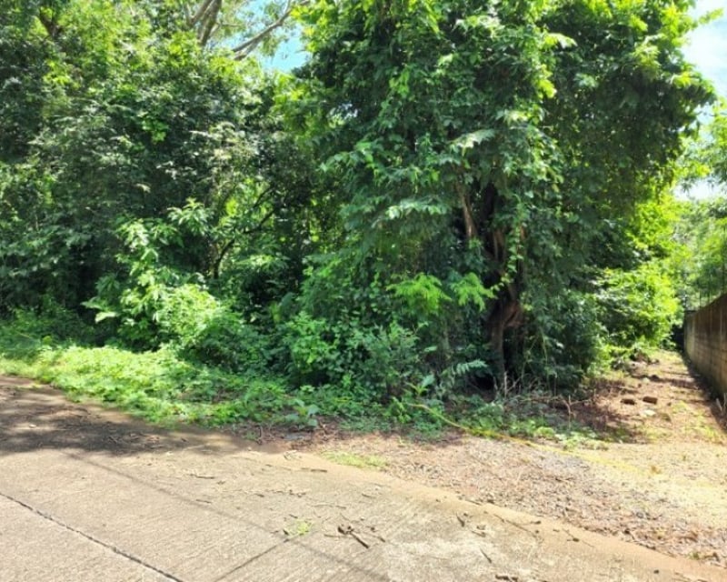 Terreno en Venta Cañadas de Torre Molinos Escuintla