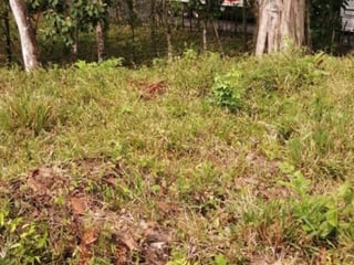Terreno en Venta Los Amates Izabal, Guatemala - 2