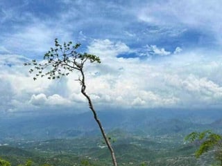 TERRENO EN VENTA EN CARRETERA AL ATLÁNTICO KM 75 - Image 3