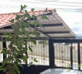Casa en Venta en Bosques del Mirador Zona 6 Mixco