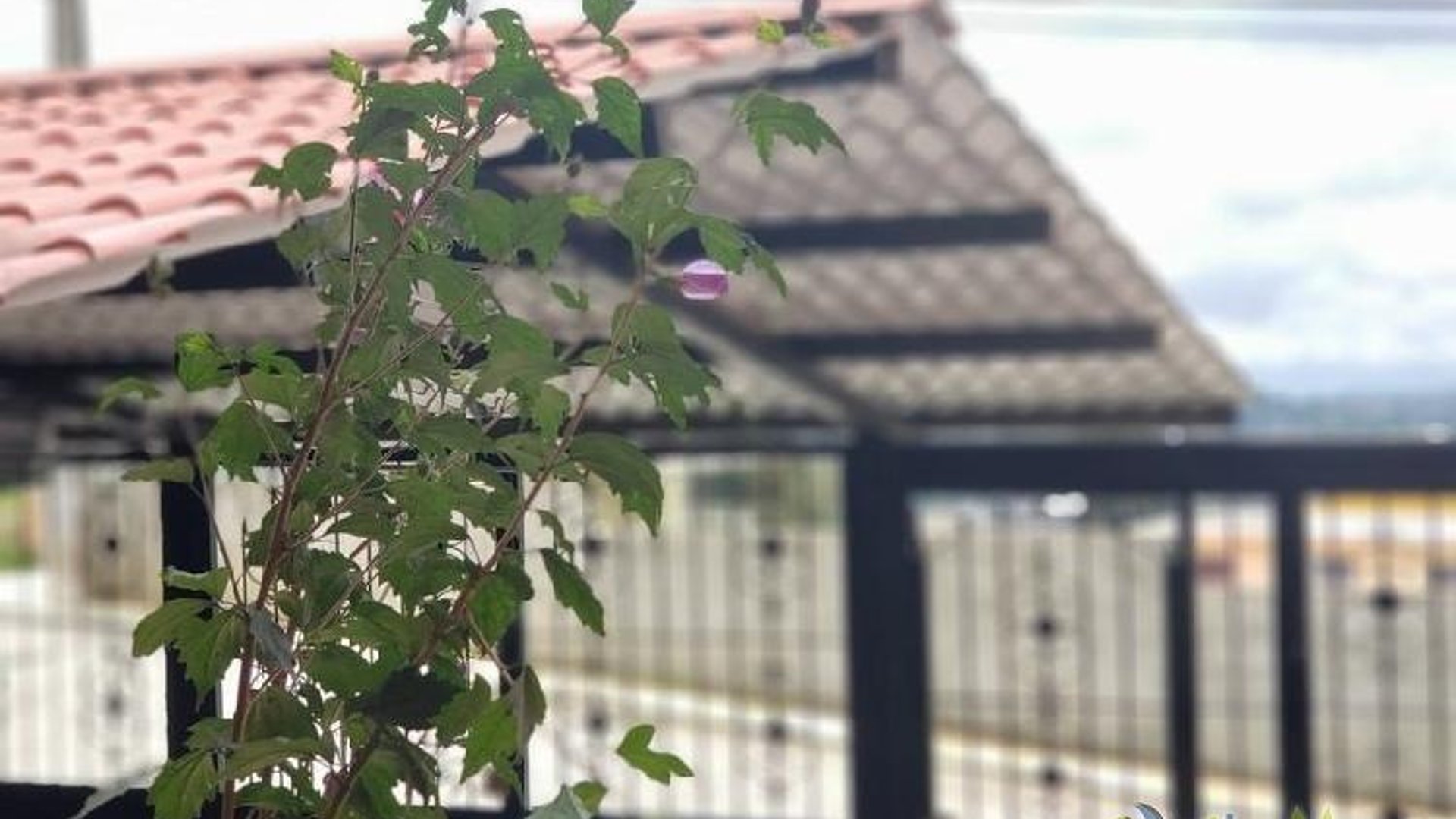 Casa en Venta en Bosques del Mirador Zona 6 Mixco