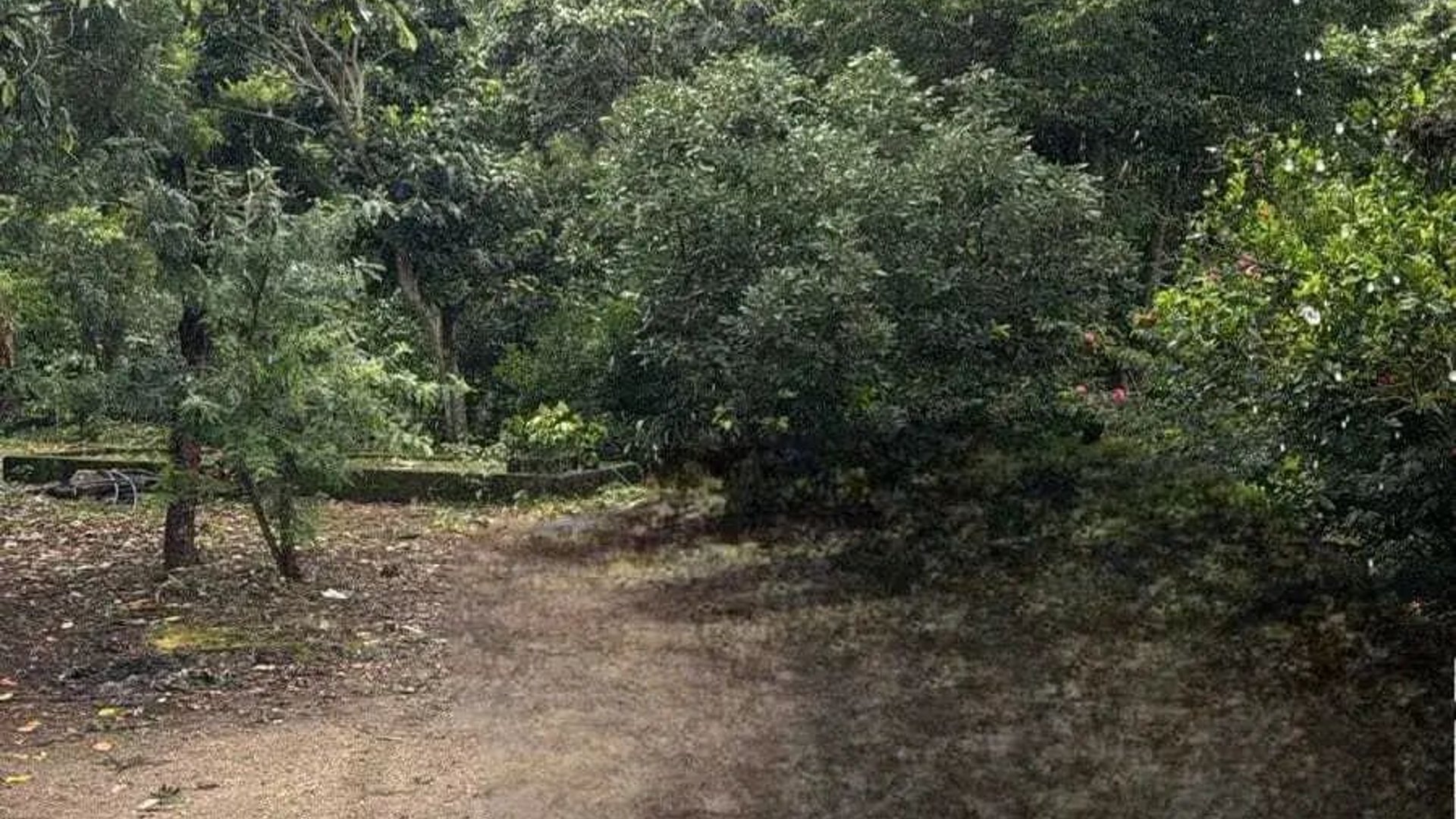 Finca Cafetalera en Renta En Amatitlan - Miniatura 2
