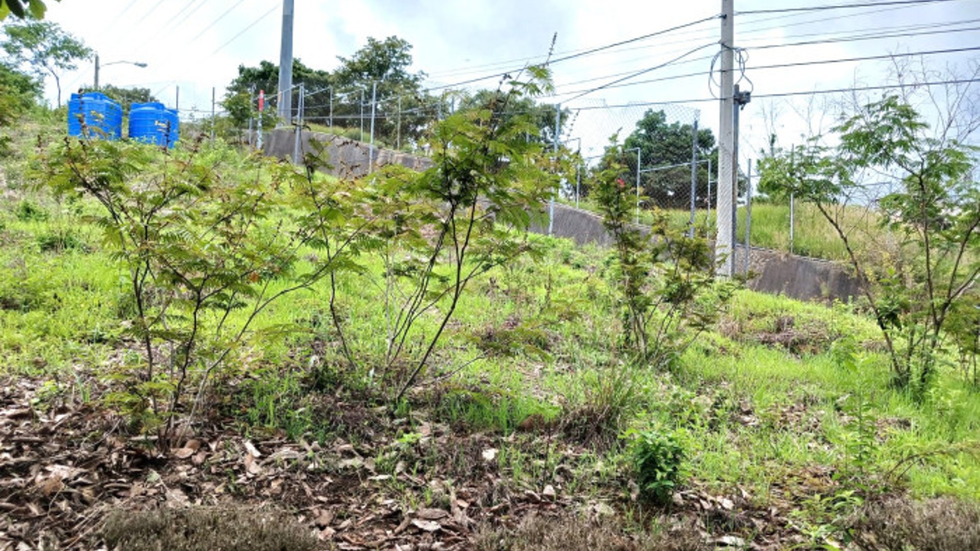 Terreno Residencial en Venta en Zona 17 - Miniatura 12