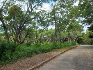 Terreno Residencial en Venta en Km 23.5 CES - 3
