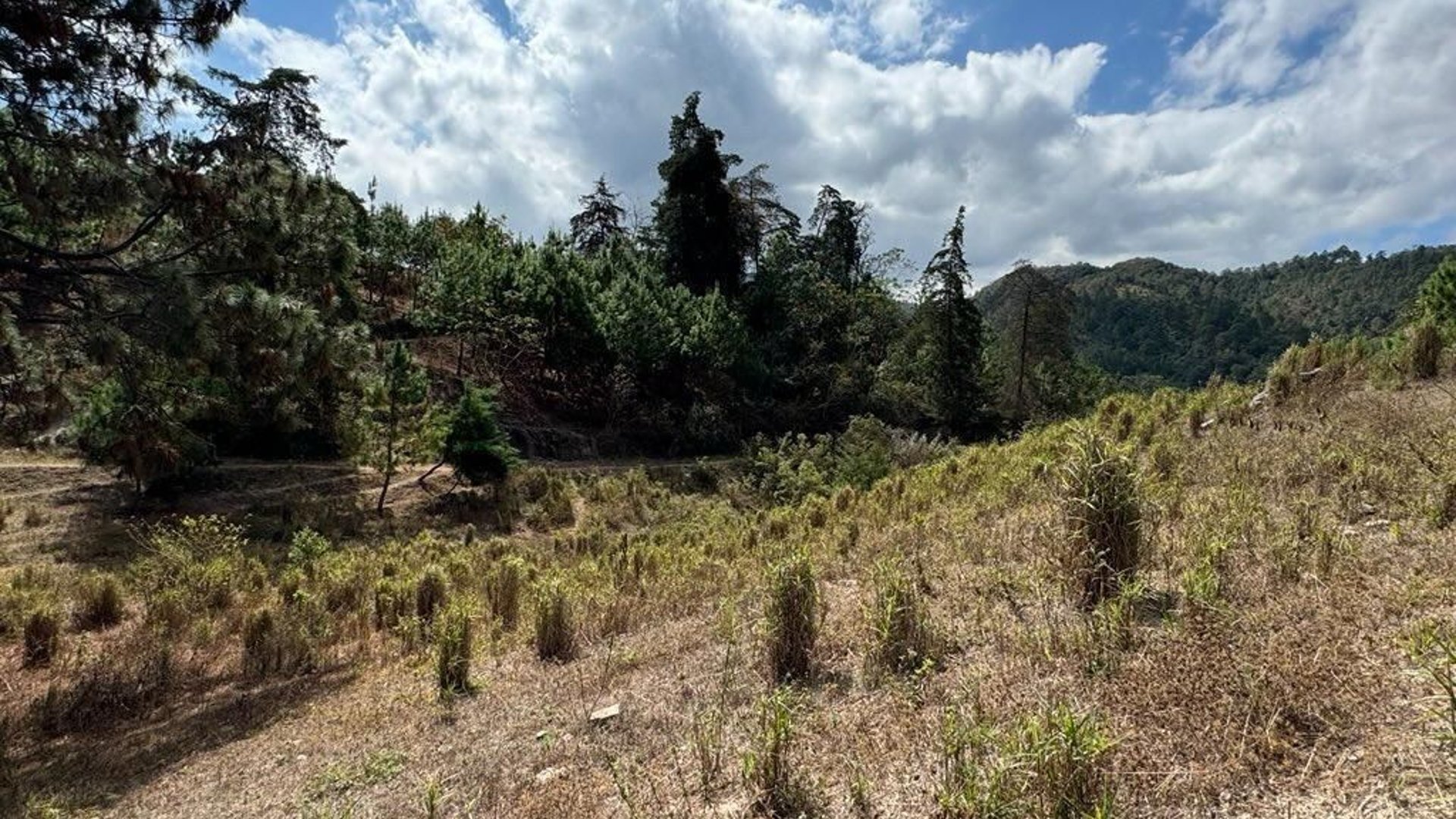 SAN PEDRO AYAMPUC/ FINCA EN VENTA PARA DESARROLLO - Miniatura 11