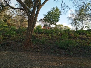Terreno en VENTA en Condominio Sausalito - 2