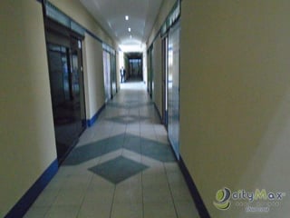 CityMax Diamond Alquila Local en San Cristobal - 4