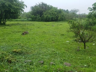 Quintas la Ponderosa lote en venta km 77 Escuintla - 4