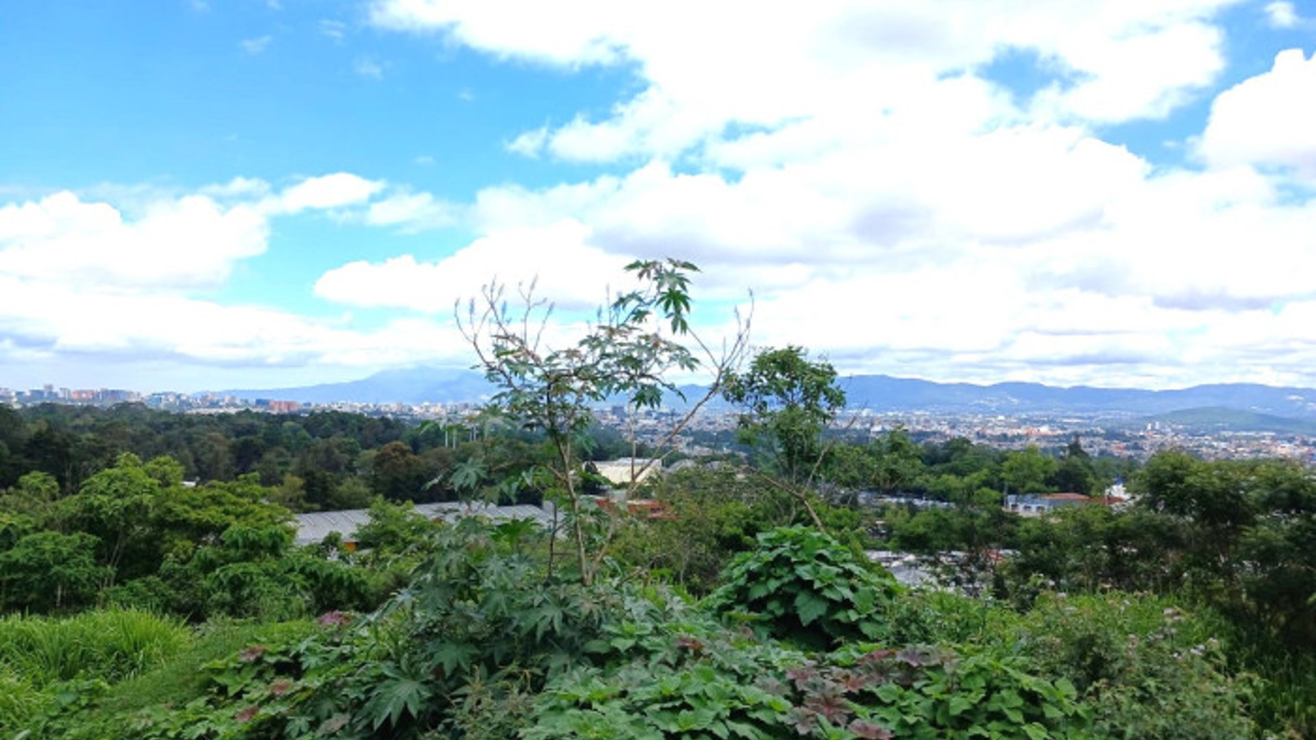 Terreno Residencial en Venta en Zona 17 - Miniatura 9