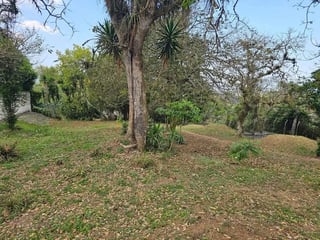 Terreno en venta en Club de Golf San Isidro, Zona 16 - 2