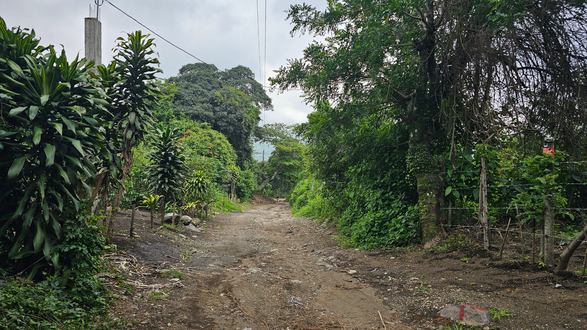 Terreno de 1 Manzana en Alotenango Cercanía Estratégica a la RN14 - Miniatura 10