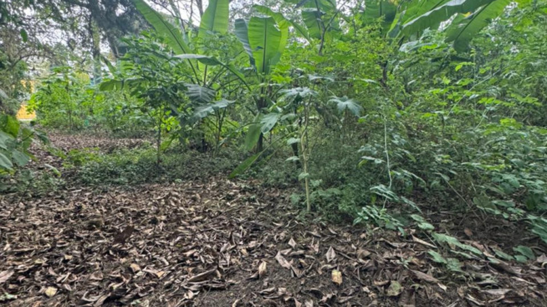 Terreno en Venta en Carretera San Lucas hacia Antigua - Miniatura 5