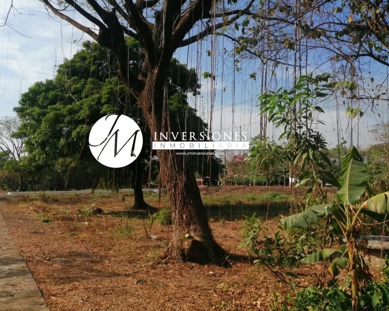 Terreno en Renta Carretera a Puerto Quetzal