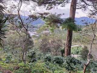 Terreno en Venta Santa Rosa de Lima - Image 3