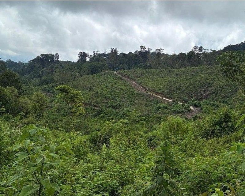 Terreno de 11 manzanas en venta en Laguna Bermeja , Santa Catarina Pinula