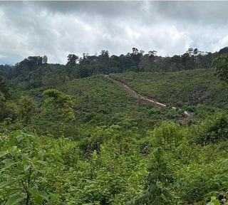Terreno de 11 manzanas en venta en Laguna Bermeja , Santa Catarina Pinula