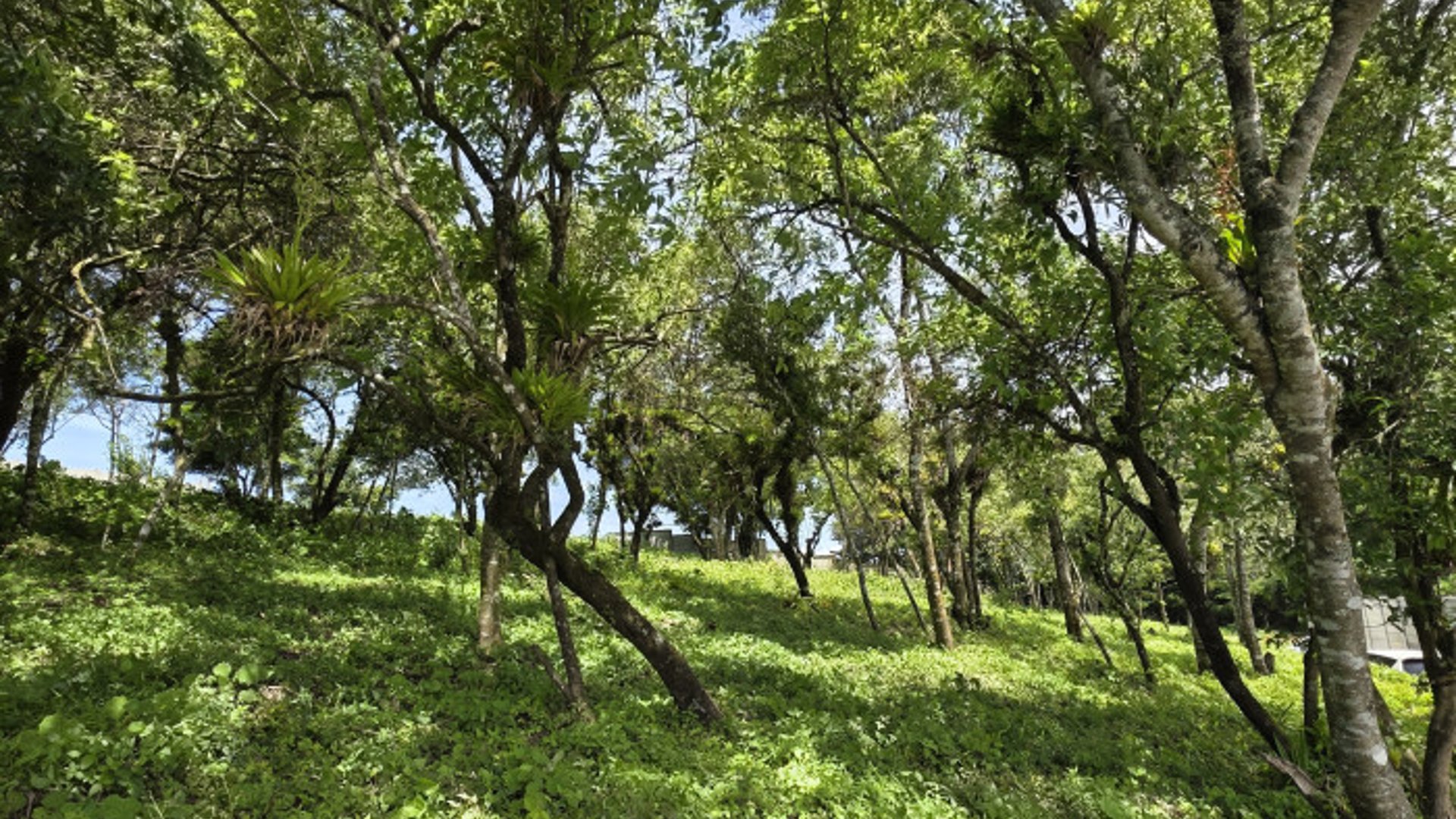 Terreno Venta Altos San Vicente Sta. Catarina Pinula - Miniatura 4