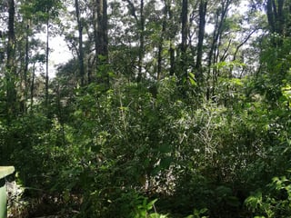 Terreno en Venta en San Lucas Sacatepequez - 1930 m2 - Image 2