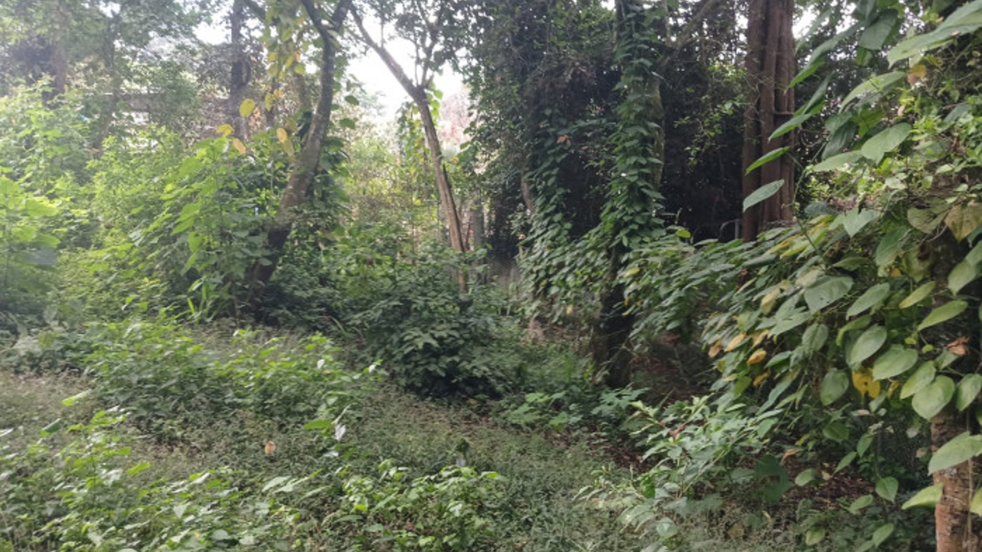 TERRENO EN VENTA EN SAN LUCAS SACATEPEQUEZ - Miniatura 14