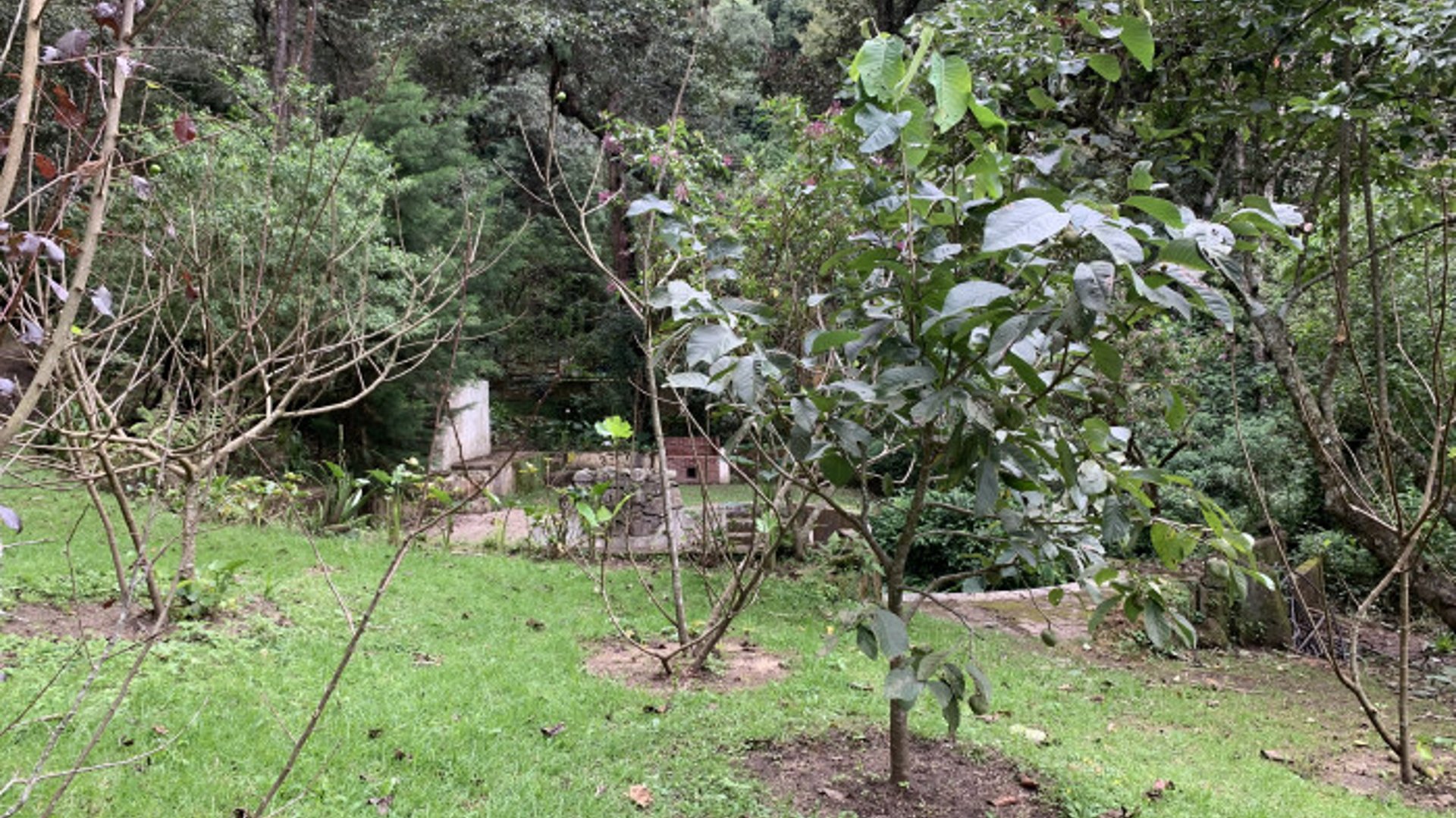 Finca en venta en Santiago Sacatepequez - Miniatura 3