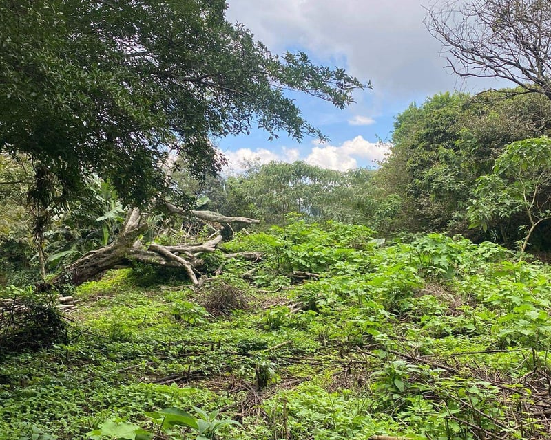 Vendo Terreno en Granja Paraíso, El Cerrito, Fraijanes