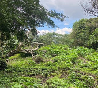 Vendo Terreno en Granja Paraíso, El Cerrito, Fraijanes