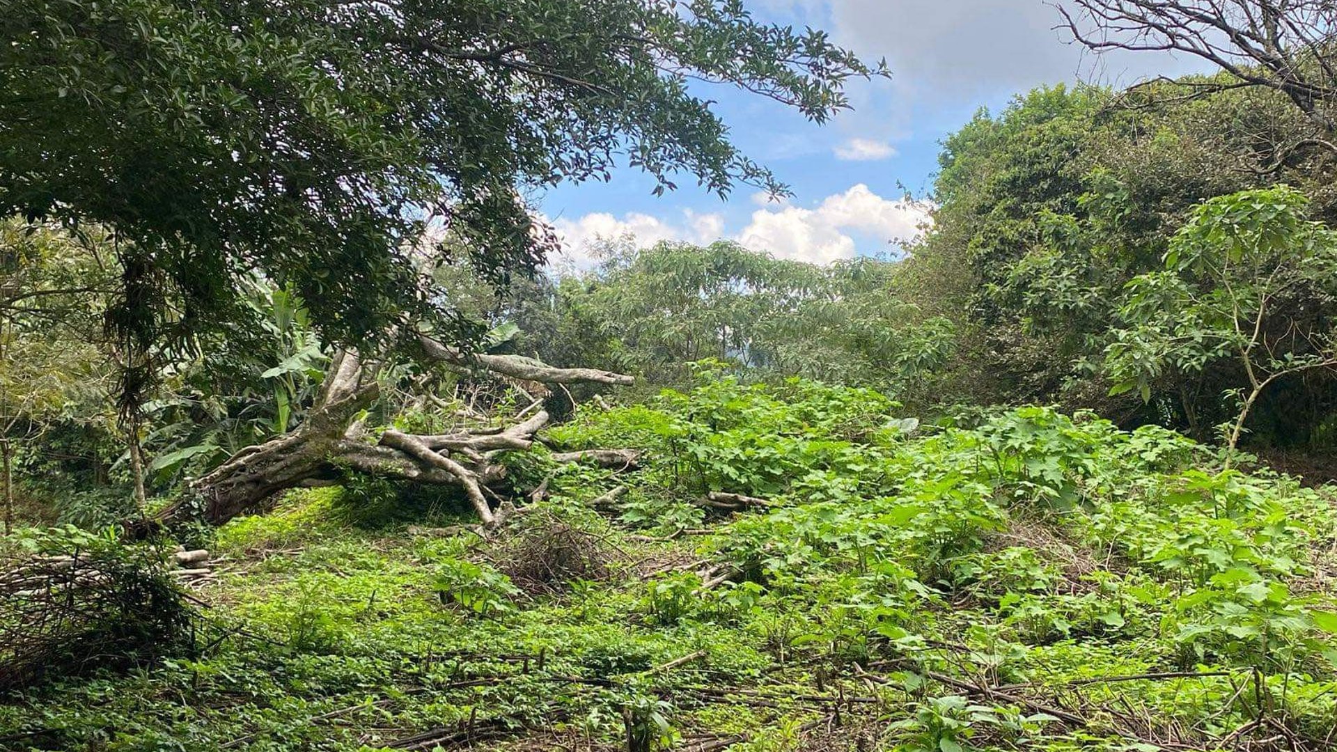 Vendo Terreno en Granja Paraíso, El Cerrito, Fraijanes