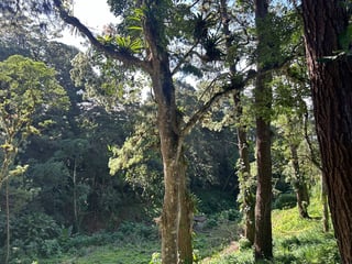 Terreno a la venta Santa Rosalía, km 12.5 CAES - 3