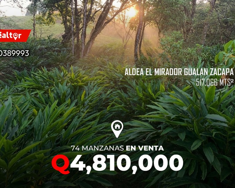 74 Manzanas en venta en Aldea El Mirador Gualan Zacapa