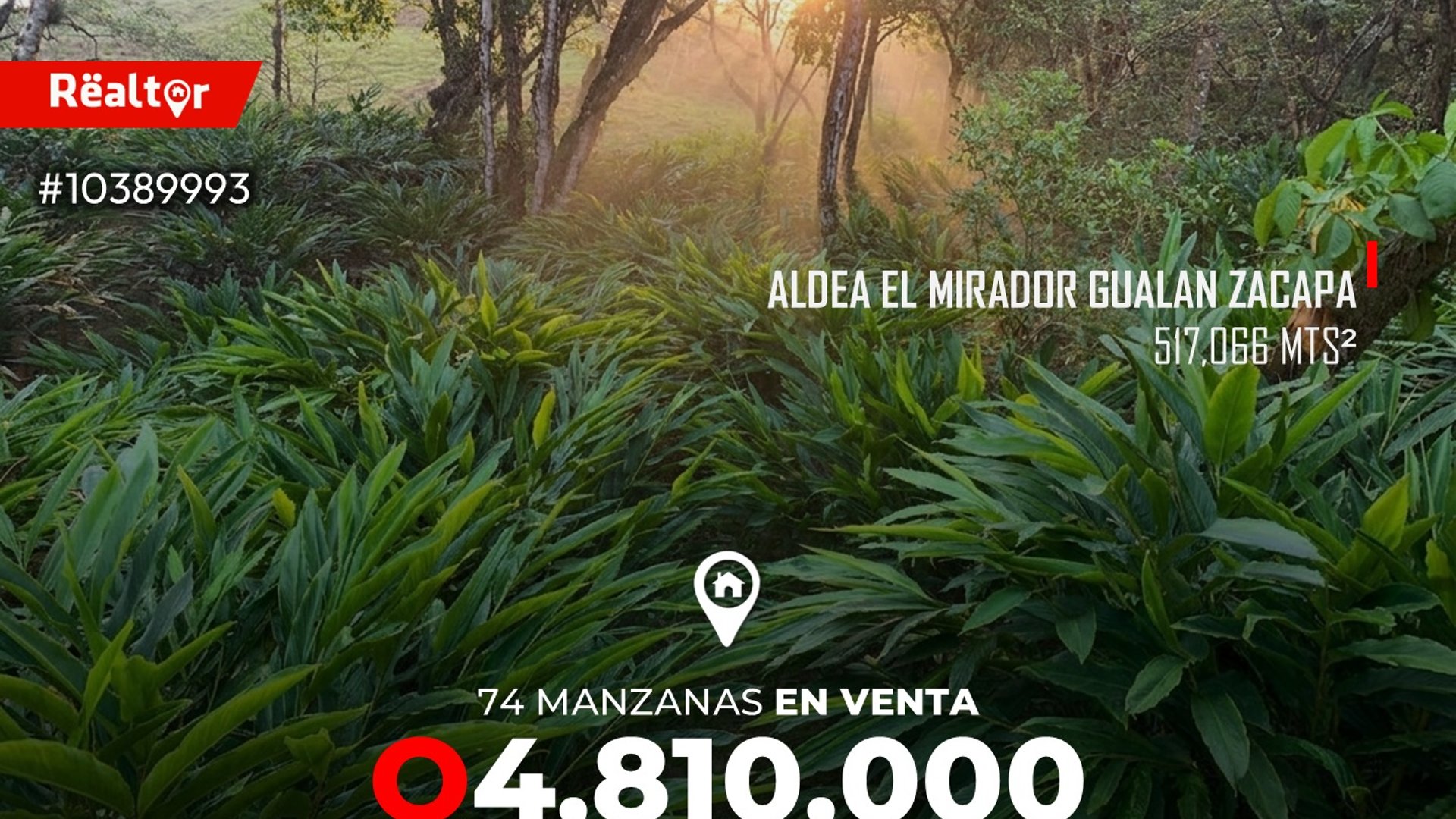 74 Manzanas en venta en Aldea El Mirador Gualan Zacapa