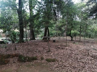 Terreno en Venta en San Lucas Saquetepéquez 2.18 manzanas - 5