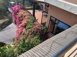 Casa en Venta en Bellas Luces Santa Catarina Pinula - 5