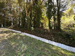 *Vendo amplio terreno en Km 17.5 Carr. El Salvador, Arrazola III* (C) - 3
